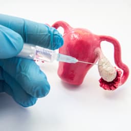 IVF Treatment