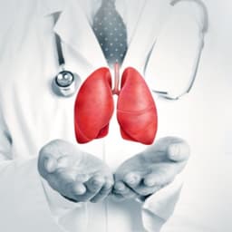Lungs Transplant