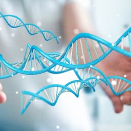 Stem Cell Therapy